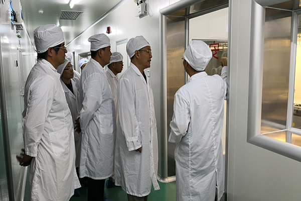 ����Z6 - ������ַ�ϰ�����