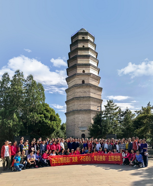 ����Z6 - ������ַ�ϰ�����