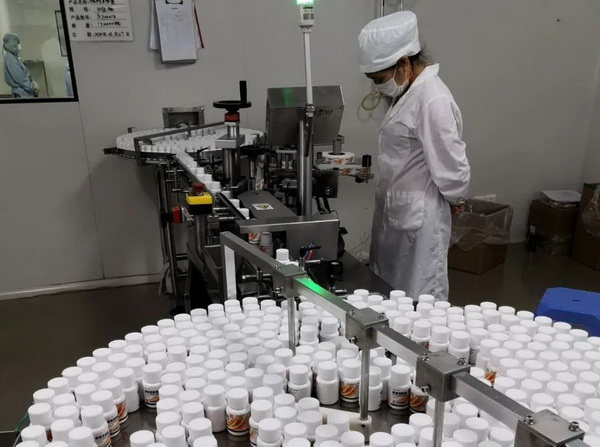 ����Z6 - ������ַ�ϰ�����