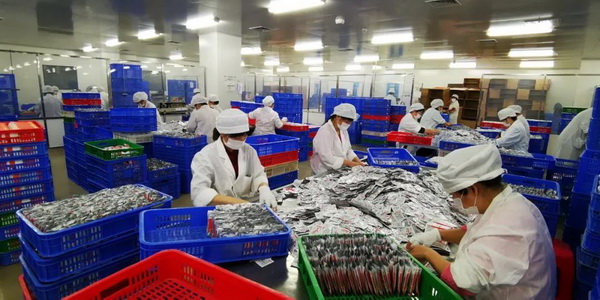 ����Z6 - ������ַ�ϰ�����