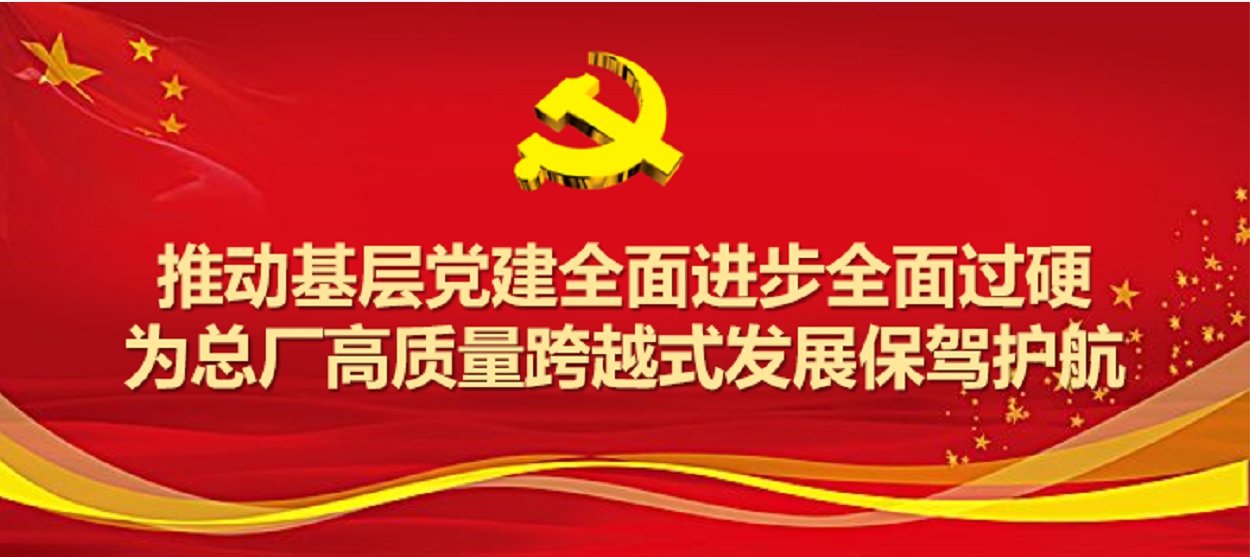 ������ַ��½����Բ�����2019��ȵ�֧�����鼰��֧����ǿ�������