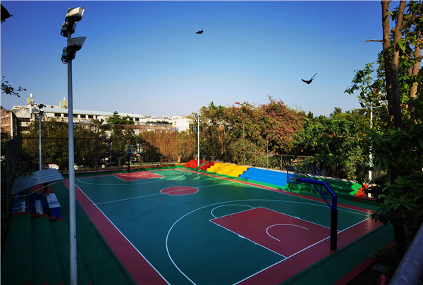 ����Z6 - ������ַ�ϰ�����