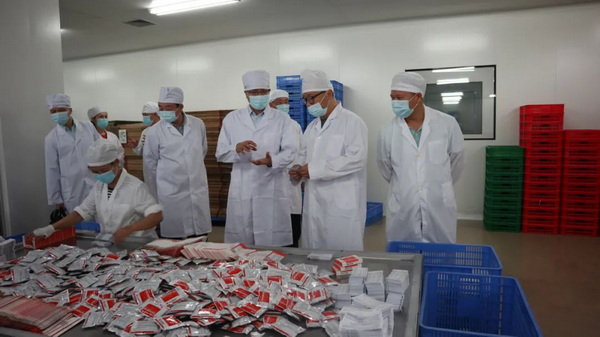 ����Z6 - ������ַ�ϰ�����