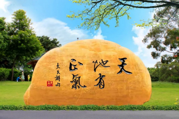 ����Z6 - ������ַ�ϰ�����