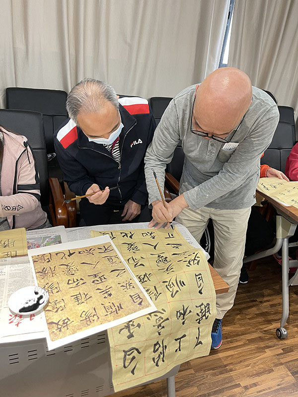 ����Z6 - ������ַ�ϰ�����