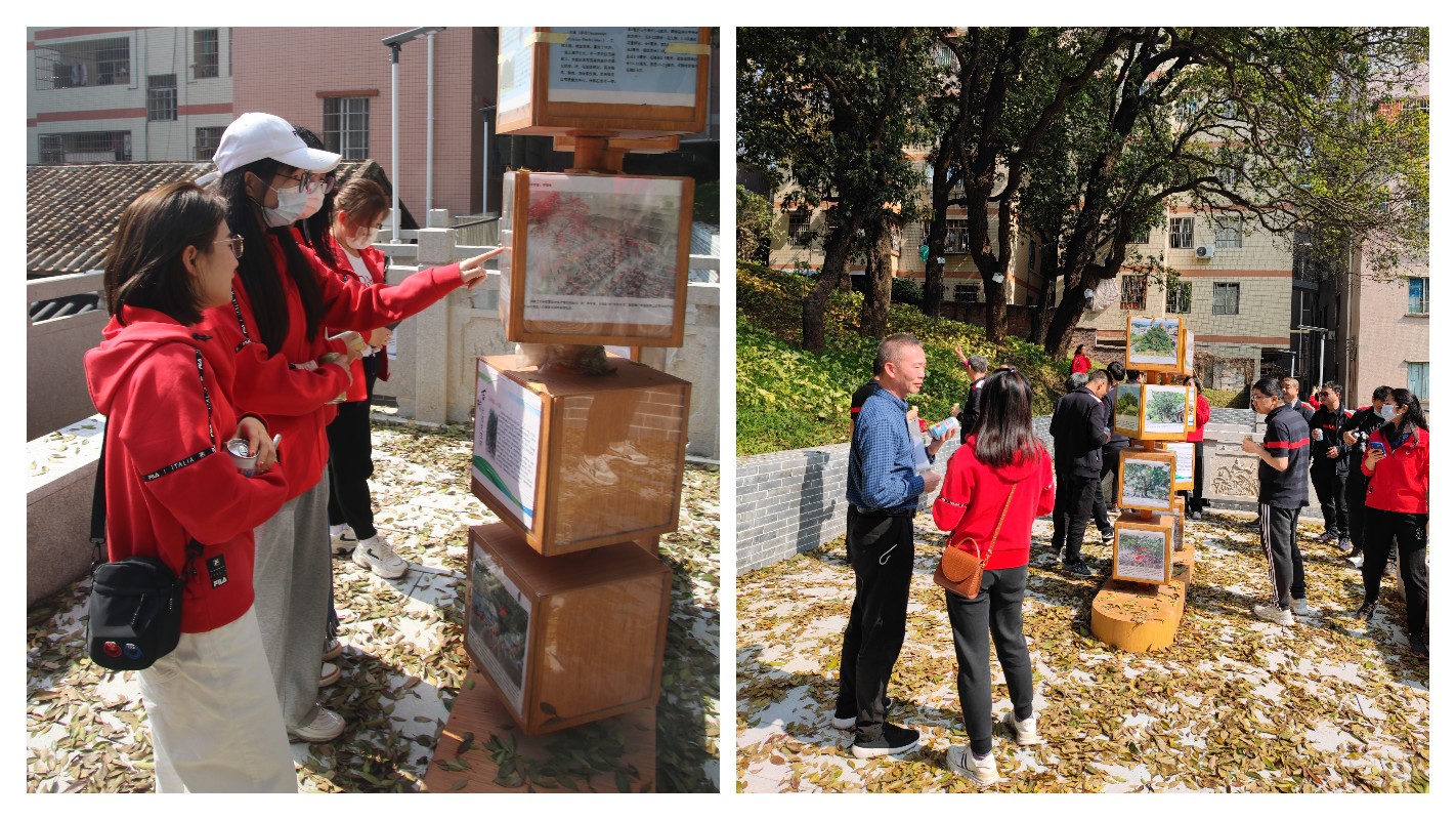 ����Z6 - ������ַ�ϰ�����