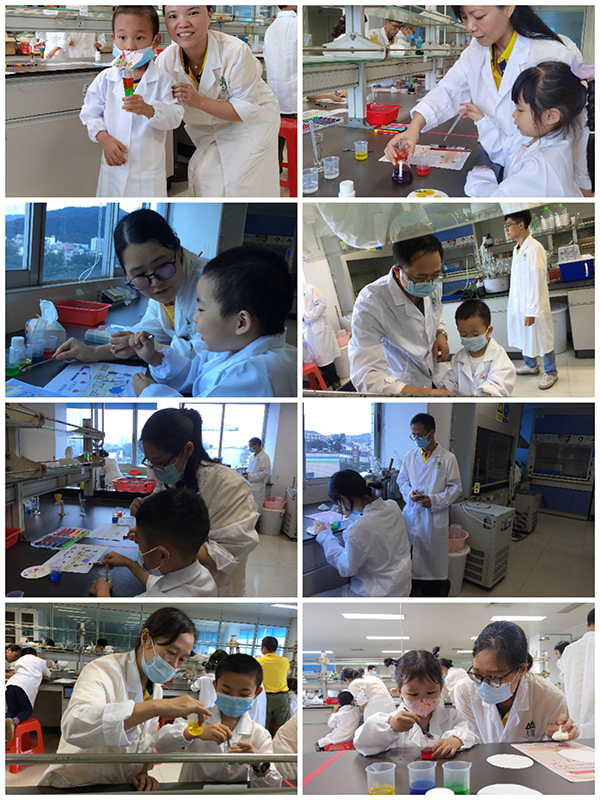 ����Z6 - ������ַ�ϰ�����