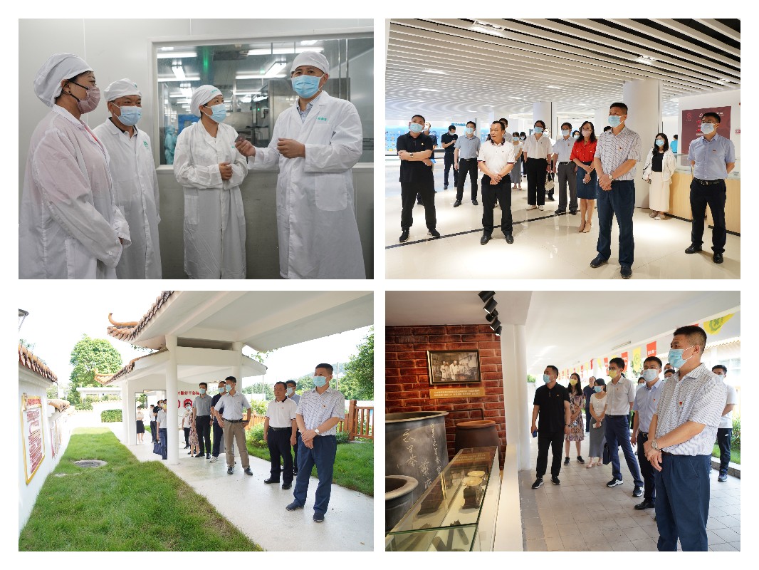 ×ðÁúZ6 - ×ðÁúÍøÖ·Éϰ¶¹ÙÍø