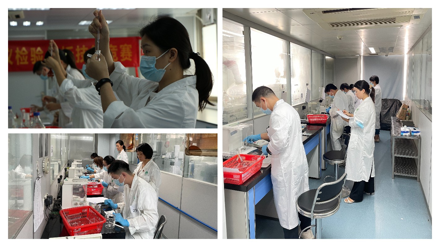 ����Z6 - ������ַ�ϰ�����