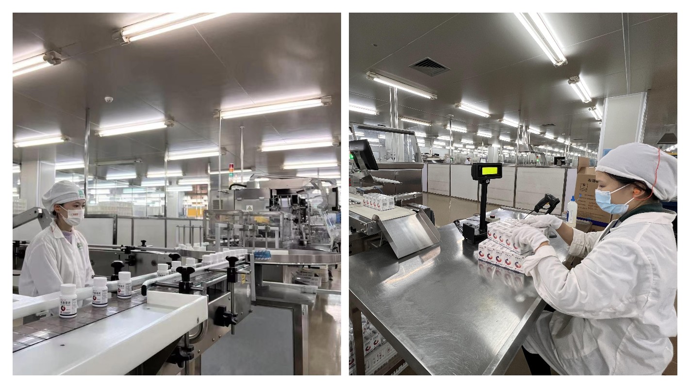 ����Z6 - ������ַ�ϰ�����