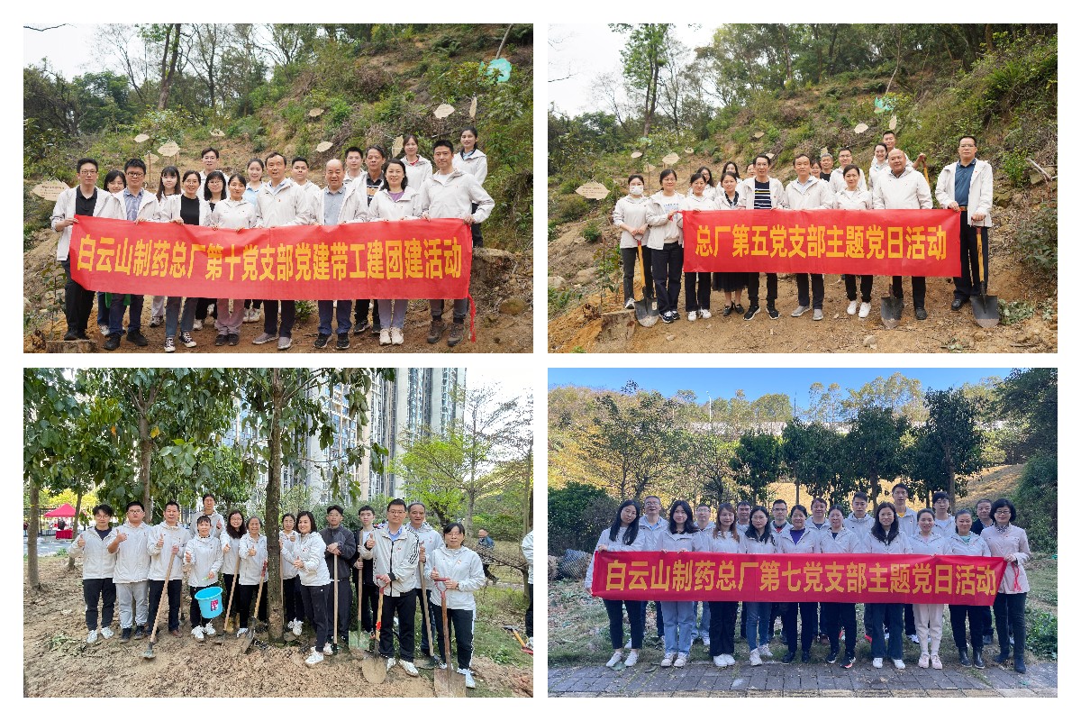 ����Z6 - ������ַ�ϰ�����