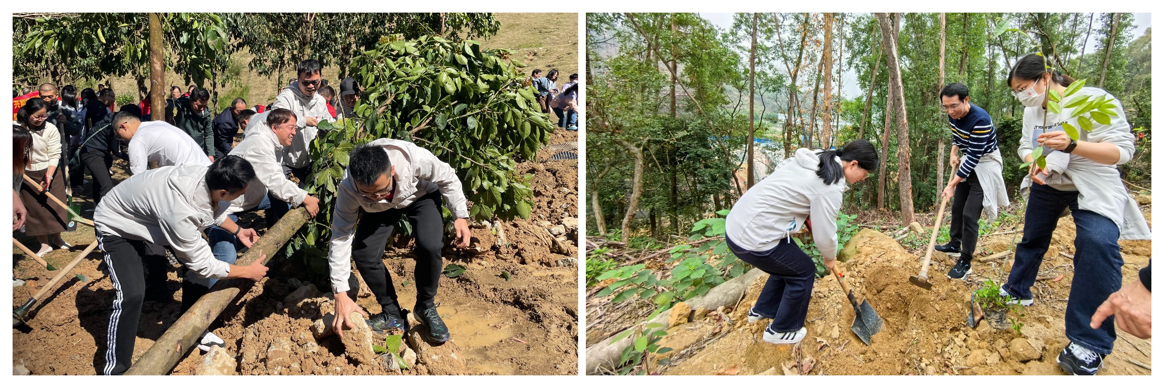 ����Z6 - ������ַ�ϰ�����