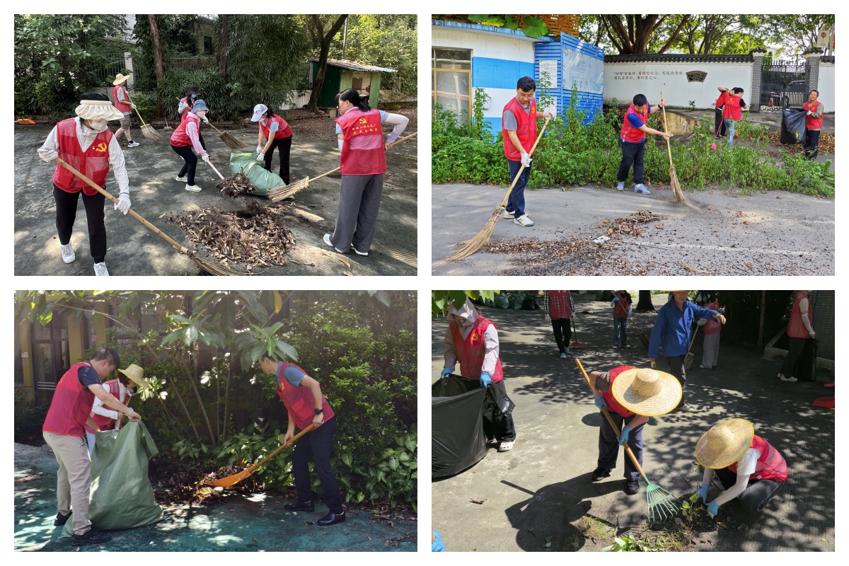 ����Z6 - ������ַ�ϰ�����