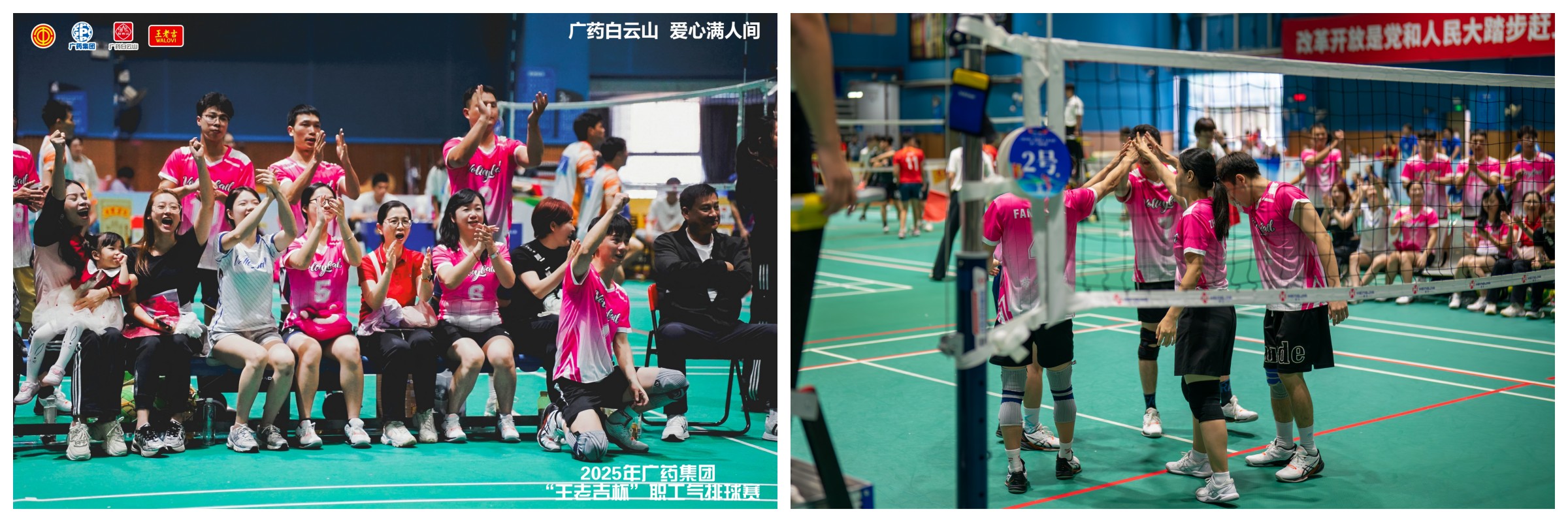 ����Z6 - ������ַ�ϰ�����